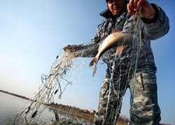 Все запрещенные методы лова рыбы